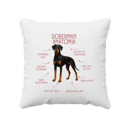 Anatomia Dobermana v2 - poduszka na prezent dla miłośnika psa