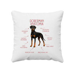 Anatomia Dobermana v2 - poduszka na prezent dla miłośnika psa