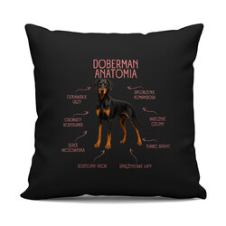 Anatomia Dobermana v2 - czarna poduszka na prezent dla miłośnika psa