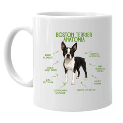 Anatomia Boston Terriera - kubek na prezent dla miłośnika psa