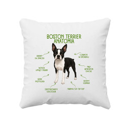 Anatomia Boston Terriera - poduszka na prezent dla miłośnika psa