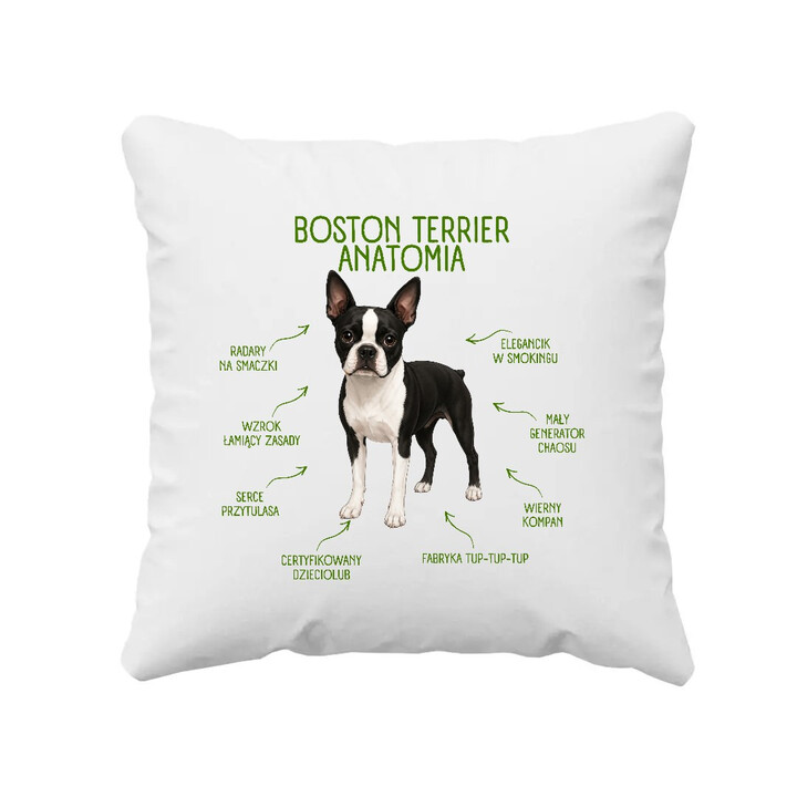 Anatomia Boston Terriera - poduszka na prezent dla miłośnika psa