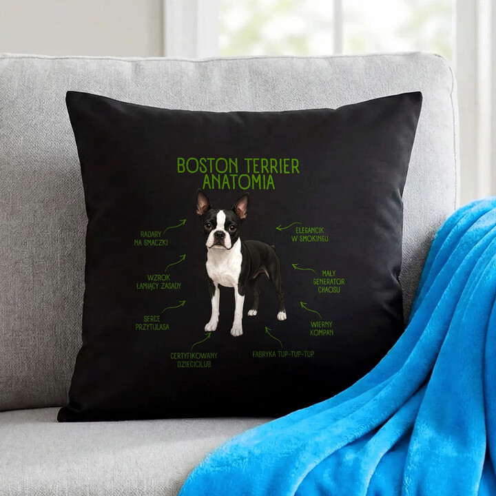Anatomia Boston Terriera - czarna poduszka na prezent dla miłośnika psa