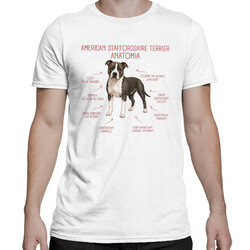 Anatomia American Staffordshire Terriera - męska koszulka na prezent dla miłośnika psa