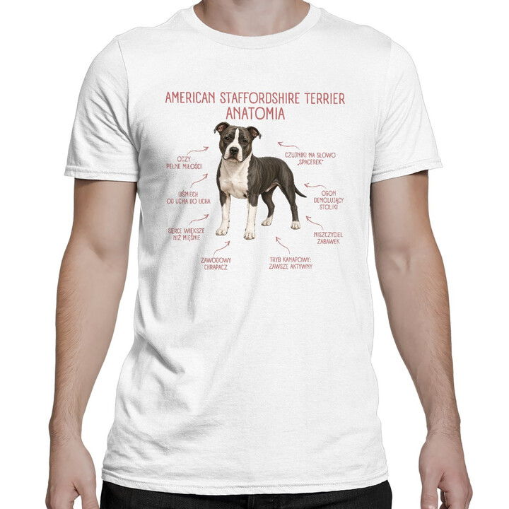Anatomia American Staffordshire Terriera - męska koszulka na prezent dla miłośnika psa