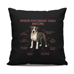 Anatomia American Staffordshire Terriera - czarna poduszka na prezent dla miłośnika psa