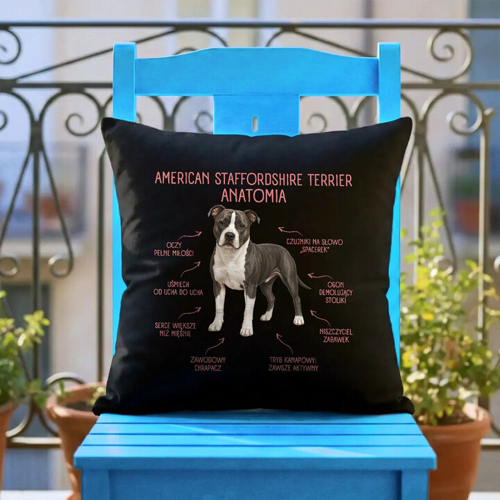 Anatomia American Staffordshire Terriera - czarna poduszka na prezent dla miłośnika psa