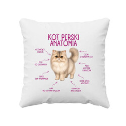 Anatomia Kota Perskiego - poduszka na prezent dla miłośnika kota