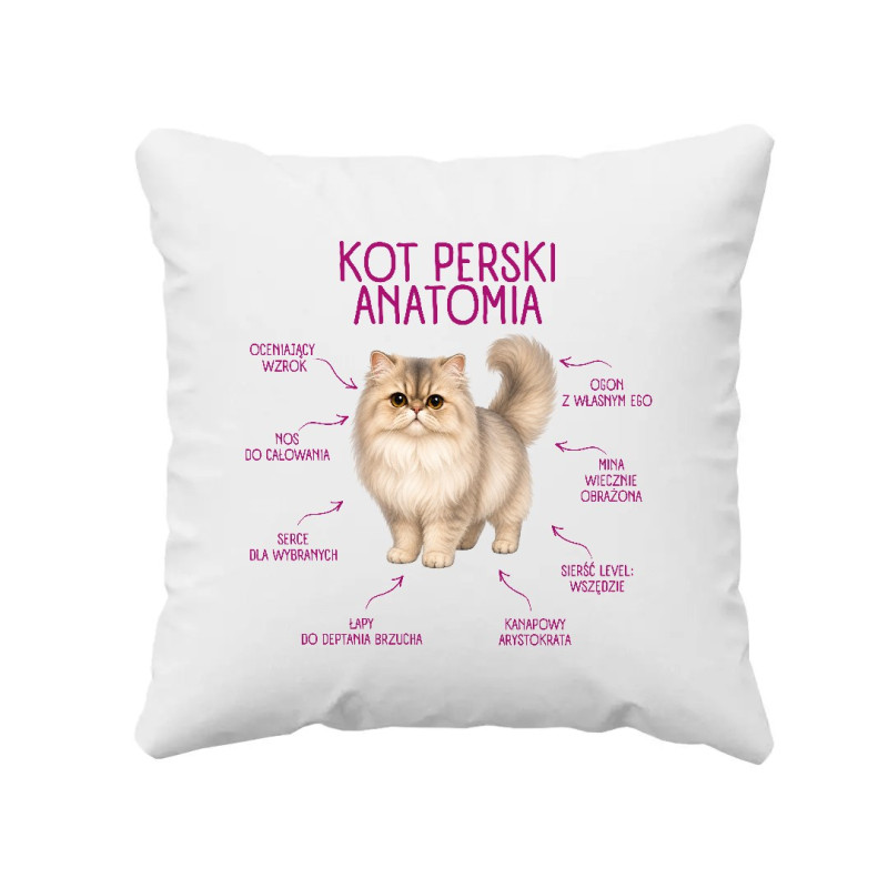anatomia-kota-perskiego-poduszka-na-prezent-dla-milosnika-kota.jpg