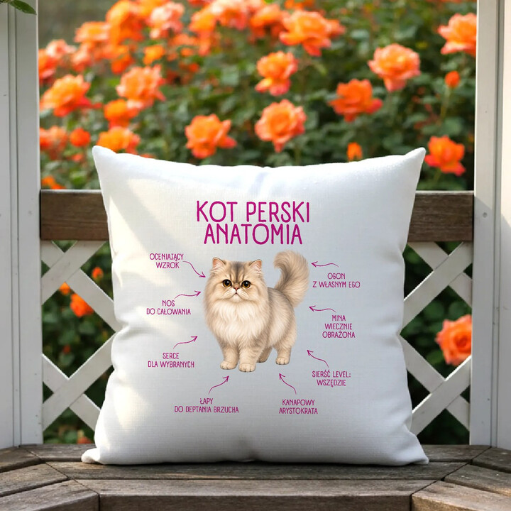 Anatomia Kota Perskiego - poduszka na prezent dla miłośnika kota