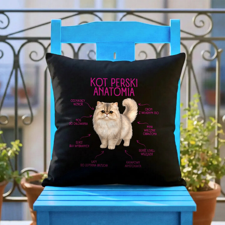 Anatomia Kota Perskiego - czarna poduszka na prezent dla miłośnika kota