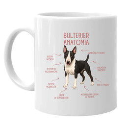 Anatomia Bulteriera - kubek na prezent dla miłośnika psa