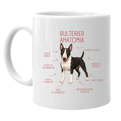 Anatomia Bulteriera - kubek na prezent dla miłośnika psa