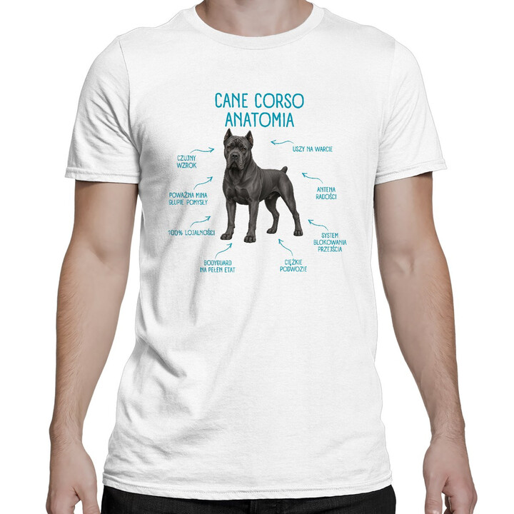 Anatomia Cane Corso - męska koszulka na prezent dla miłośnika psa