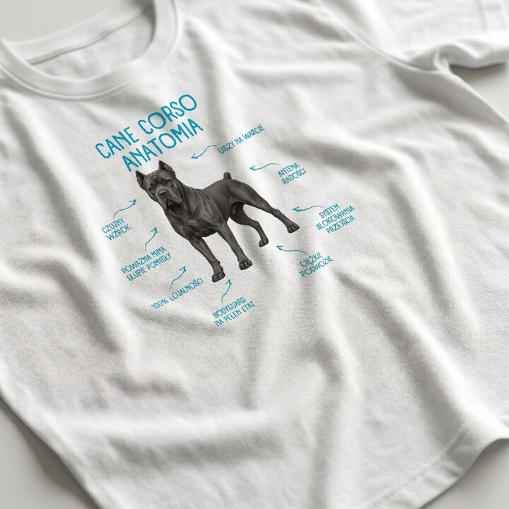 Anatomia Cane Corso - męska koszulka na prezent dla miłośnika psa