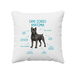 Anatomia Cane Corso - poduszka na prezent dla miłośnika psa