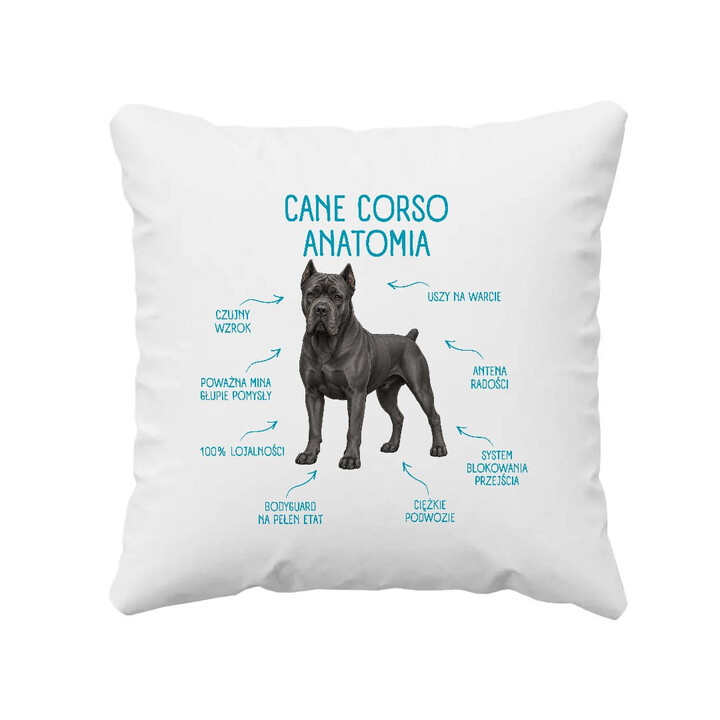 Anatomia Cane Corso - poduszka na prezent dla miłośnika psa
