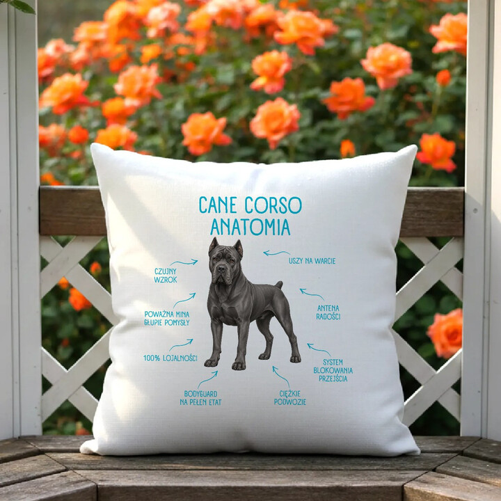 Anatomia Cane Corso - poduszka na prezent dla miłośnika psa