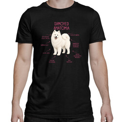 Anatomia Samoyeda - męska koszulka na prezent dla miłośnika psa