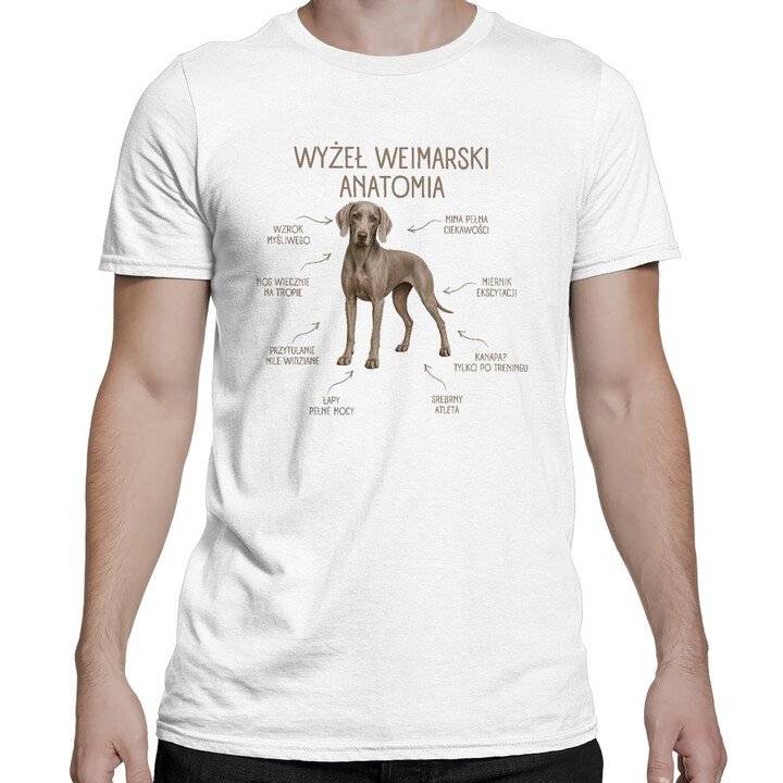 Anatomia Wyżła Weimarskiego - męska koszulka na prezent dla miłośnika psa
