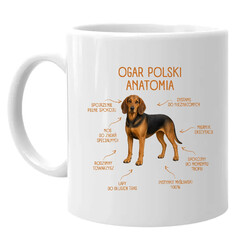 Anatomia Ogara Polskiego - kubek na prezent dla miłośnika psa