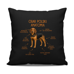 Anatomia Ogara Polskiego - czarna poduszka na prezent dla miłośnika psa