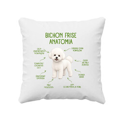 Anatomia Bichon Frise - poduszka na prezent dla miłośnika psa
