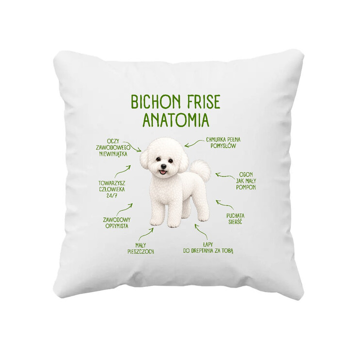 Anatomia Bichon Frise - poduszka na prezent dla miłośnika psa