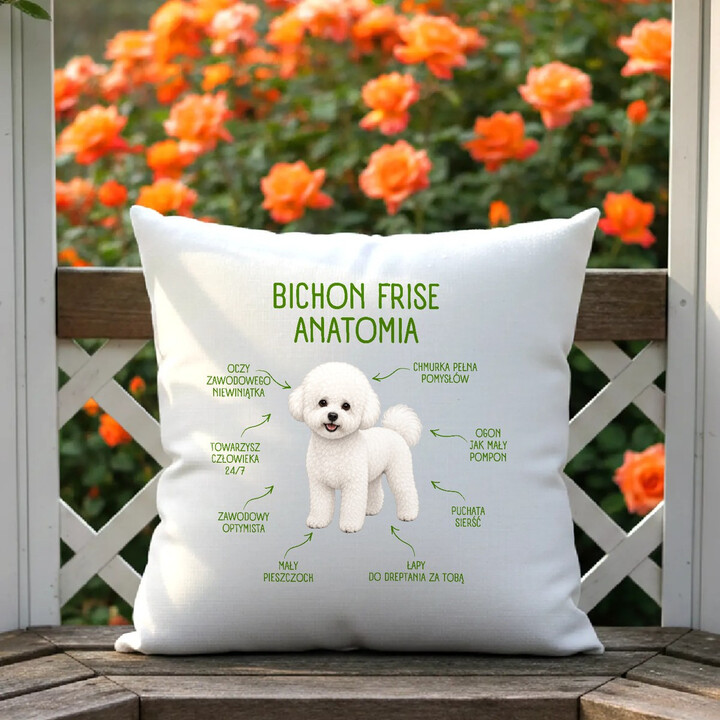 Anatomia Bichon Frise - poduszka na prezent dla miłośnika psa