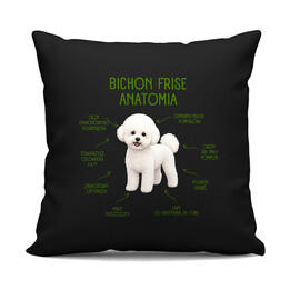 Anatomia Bichon Frise - czarna poduszka na prezent dla miłośnika psa