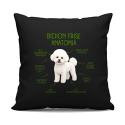 Anatomia Bichon Frise - czarna poduszka na prezent dla miłośnika psa