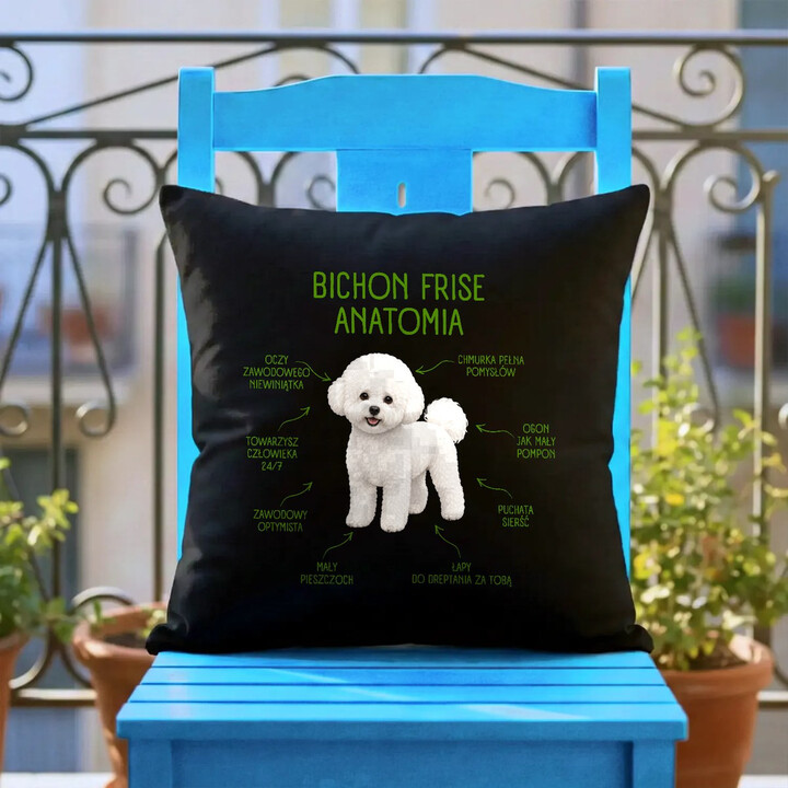 Anatomia Bichon Frise - czarna poduszka na prezent dla miłośnika psa