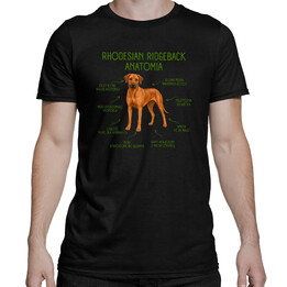 Anatomia Rhodesian Ridgebacka - męska koszulka na prezent dla miłośnika psa