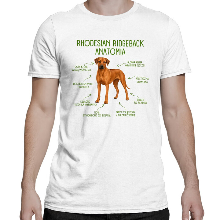 Anatomia Rhodesian Ridgebacka - męska koszulka na prezent dla miłośnika psa