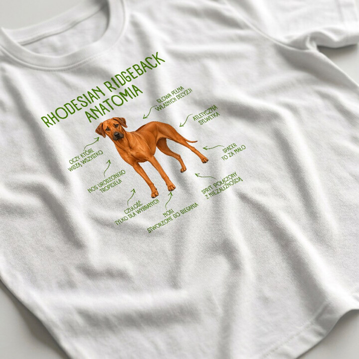 Anatomia Rhodesian Ridgebacka - męska koszulka na prezent dla miłośnika psa
