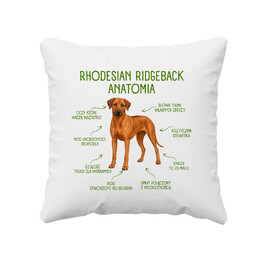 Anatomia Rhodesian Ridgebacka - poduszka na prezent dla miłośnika psa