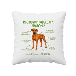 Anatomia Rhodesian Ridgebacka - poduszka na prezent dla miłośnika psa