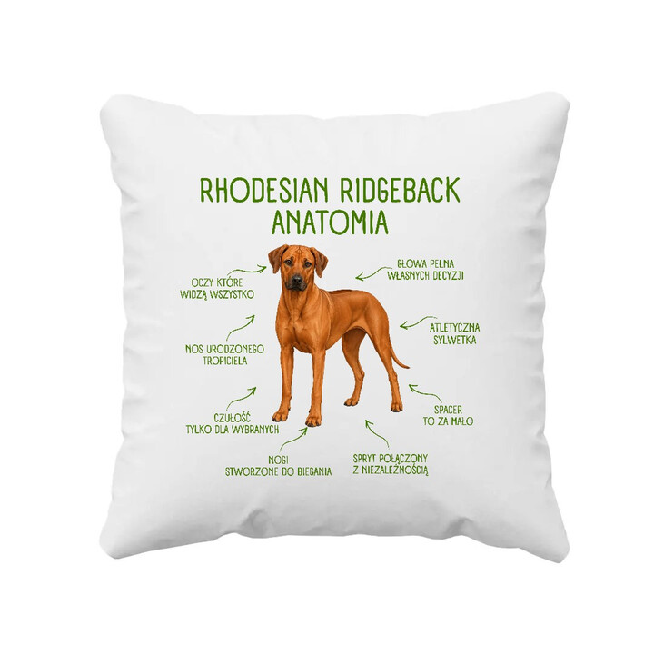 Anatomia Rhodesian Ridgebacka - poduszka na prezent dla miłośnika psa