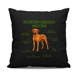 Anatomia Rhodesian Ridgebacka - czarna poduszka na prezent dla miłośnika psa