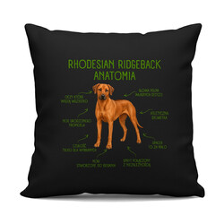 Anatomia Rhodesian Ridgebacka - czarna poduszka na prezent dla miłośnika psa