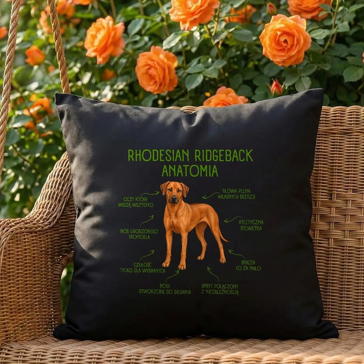 Anatomia Rhodesian Ridgebacka - czarna poduszka na prezent dla miłośnika psa