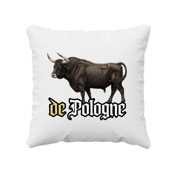 De Pologne - poduszka na prezent dla fanów serialu 1670